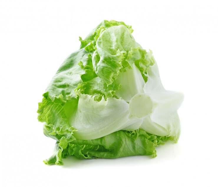 Lettuce Iceburg