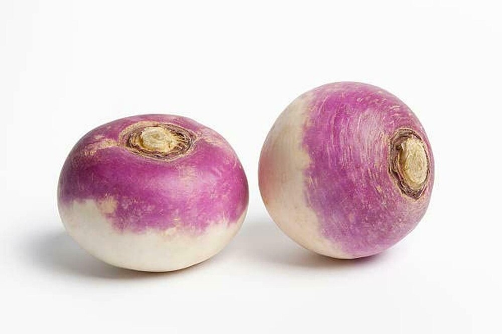 Turnip