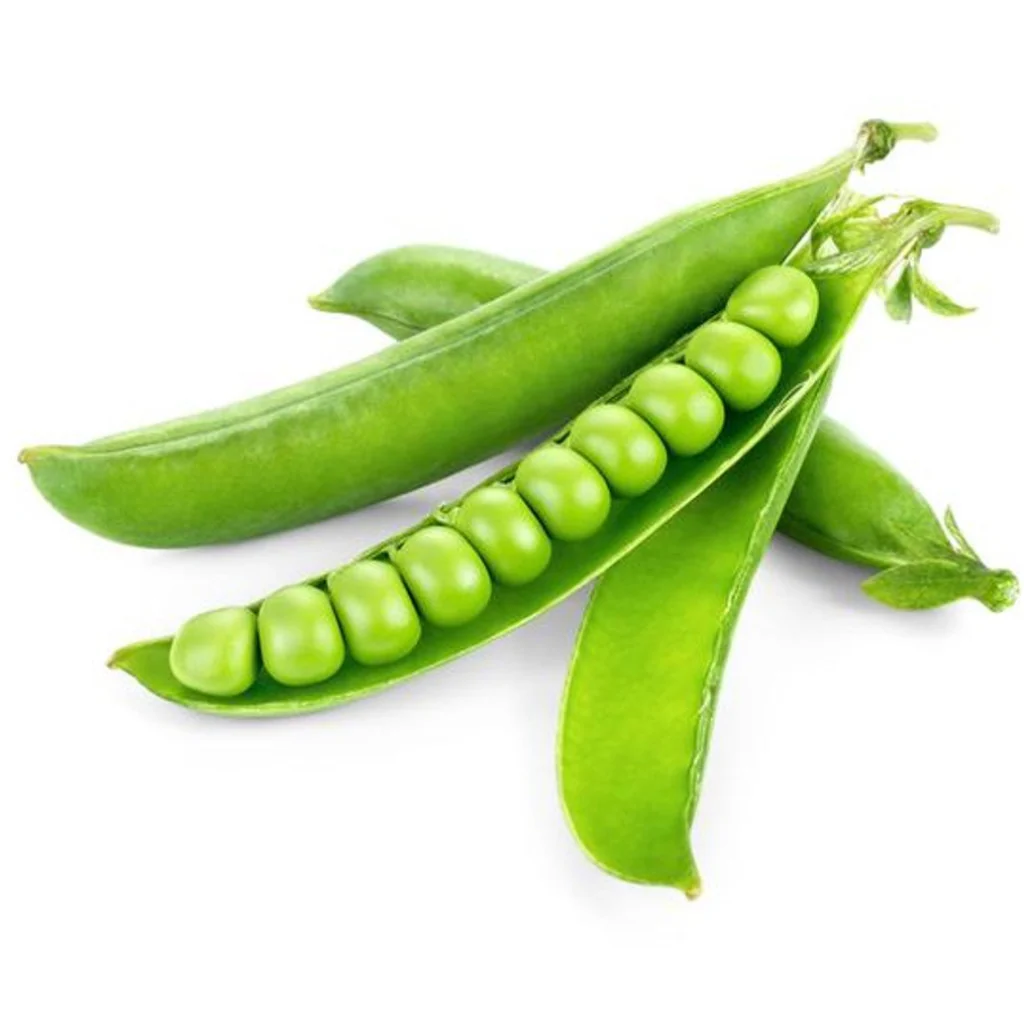 Pea (Matar)