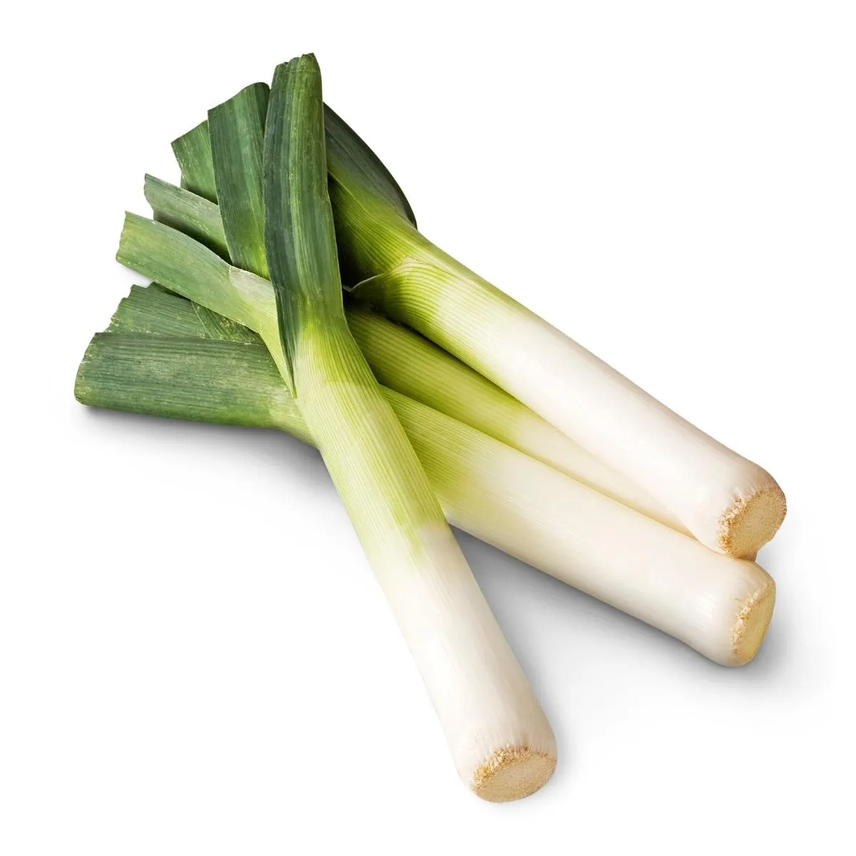 Leek