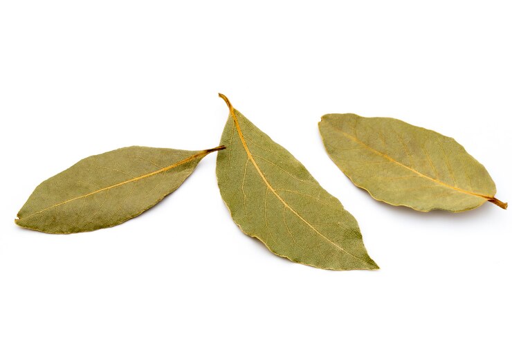 Bay Leaf (Tej Patta)